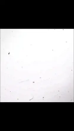 Movie Edit