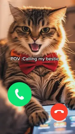 Calling bestie meme 