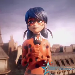 reporter ladybug🐞