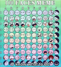 100 FACE MEME