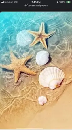 Beach Wallpapers 🌊