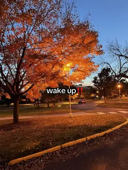 wake up ‼️