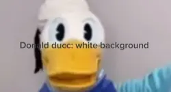 DD white background 