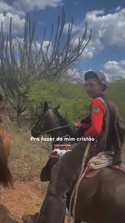 Vaquejada De Luxo 