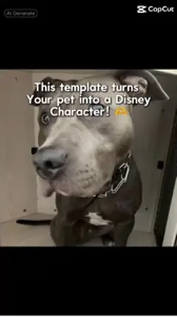 Disney dog🪴❤️