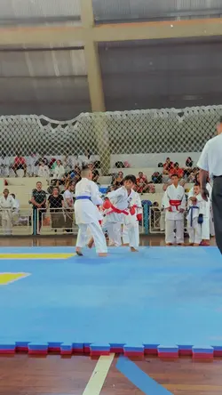 Luta competição 