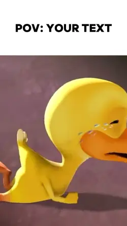 Duck crying meme