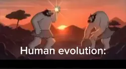 Human evolution 