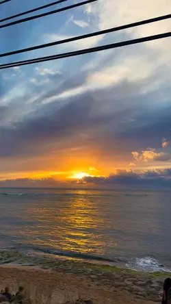 Hawaii Summer🌺