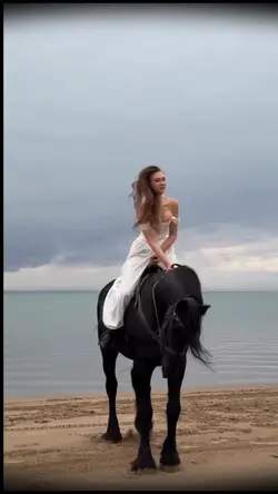 Horse template