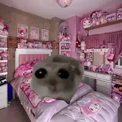 hamster meme 