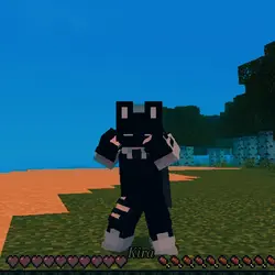 Minecraft, skins