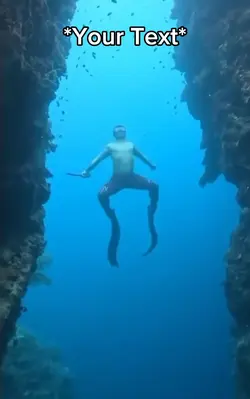 Swim Swim