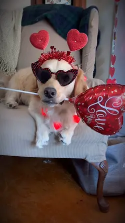 Be my valentine?