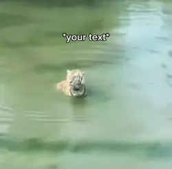 Huh tiger 