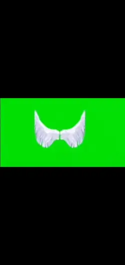 Green Screen wings