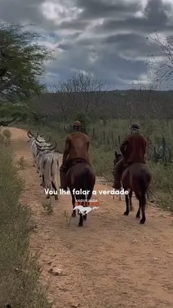 Vaquejada De Luxo 