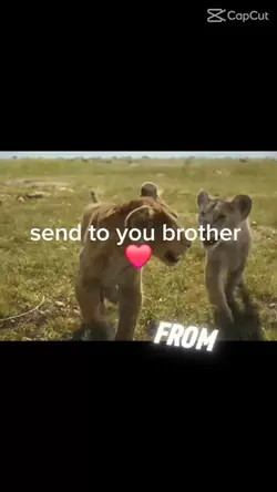 mufasa edit
