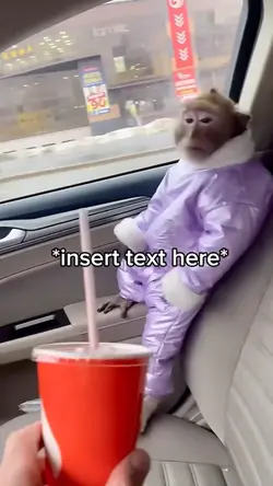 Monkey Meme Car