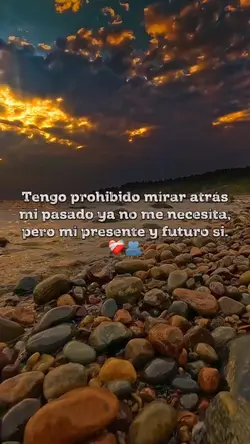 Prohibido 🚫 