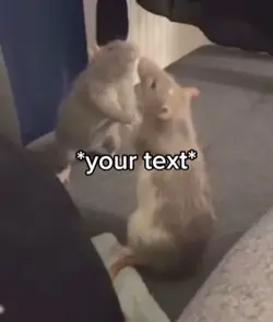 Rats fighting 