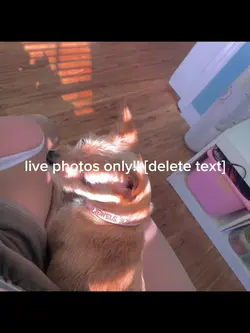 live photos only 💕💕