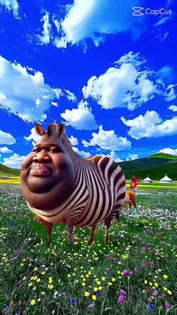 Zebra