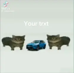 This is a