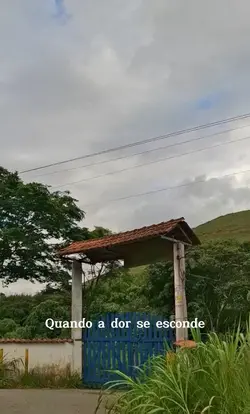 Sertanejo 