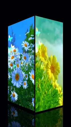 summer flowers