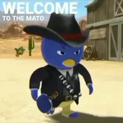 Welcome to el Mato 😂