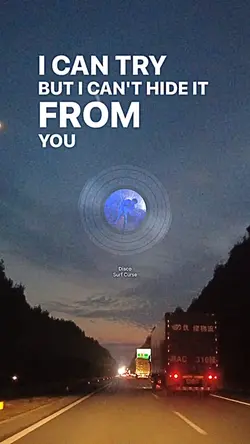Disco Lyrics