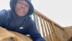 A Day on The Farm