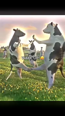 WAKE UP!! 😝