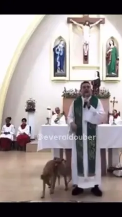geradora tg vídeos 