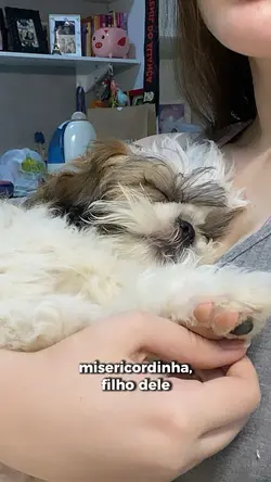 Misericordinha 