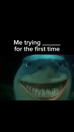 Shark Meme