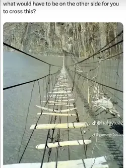 Would you cross?