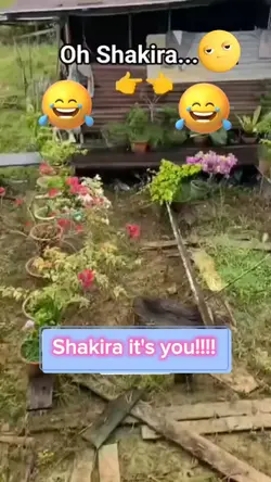 Shakira iconic moves