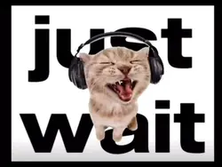 wait