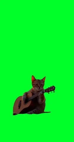Sad Guitar Cat