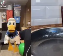 Donald Duck ytp2