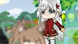 Lunar new year