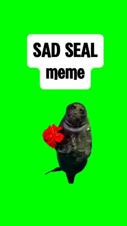 SAD SEAL meme