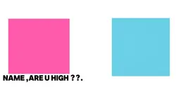 Are u High😂?.