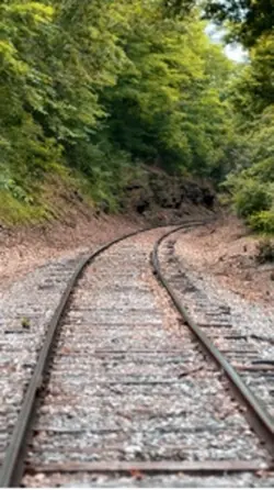Nature/Train Tracks