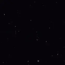 My puppy edit