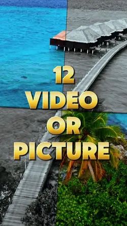 12 video or picture 