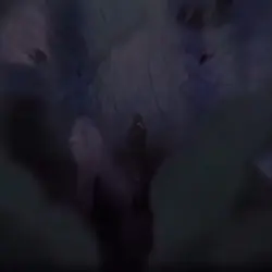 Sasuke edit
