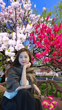 Peach blossom